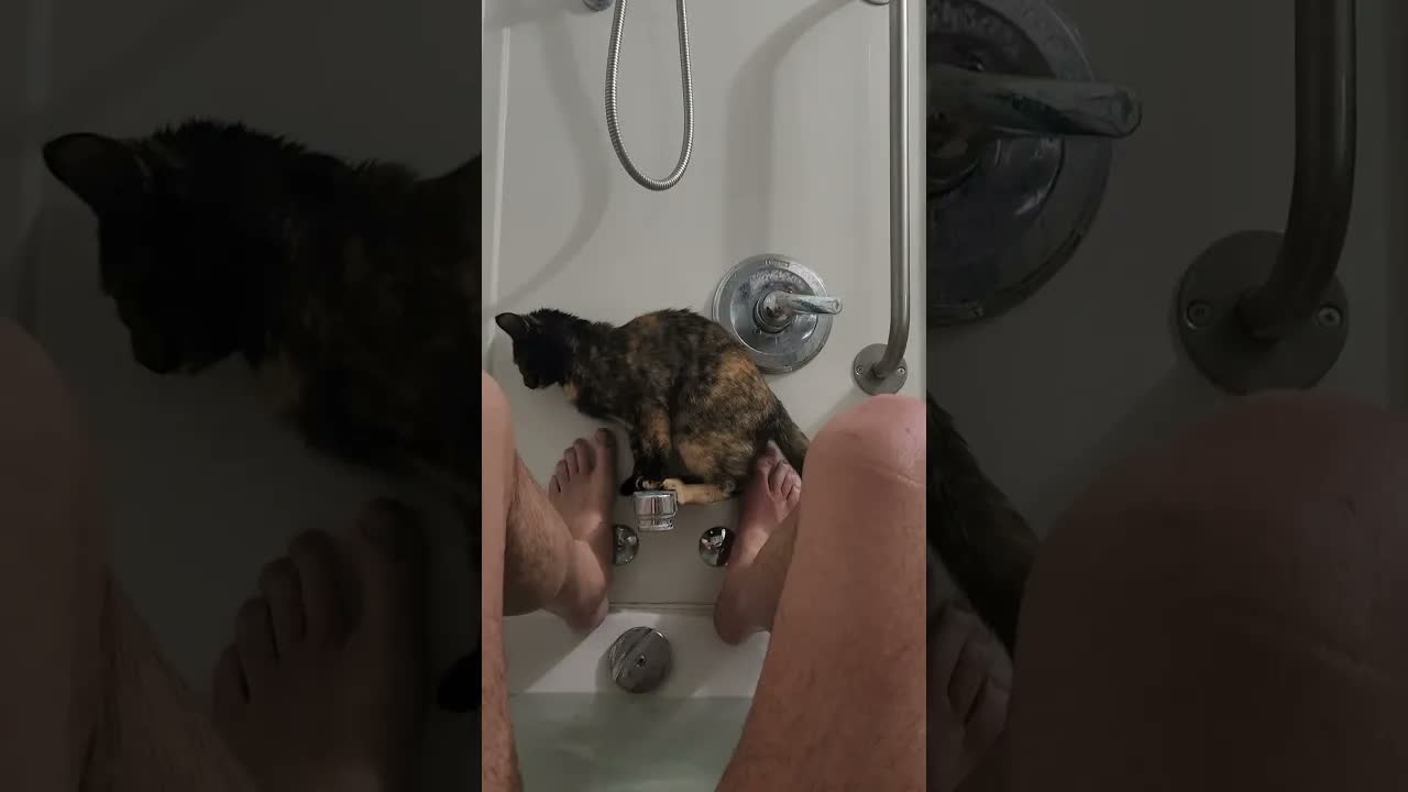 Raqia,  my cat literally says O.K near end of video recorded over a year ago