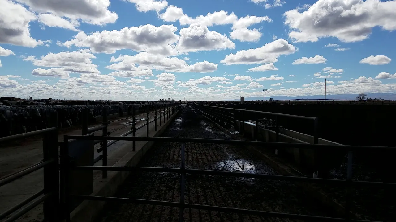 Even the clouds behave according to perspective on a flat Earth