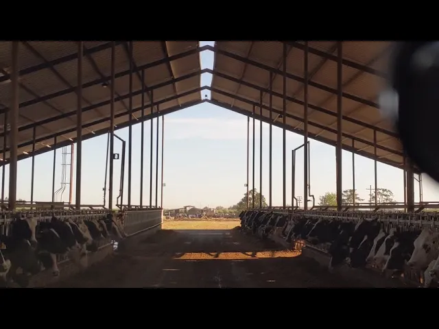 Perspective --- convergence and compression