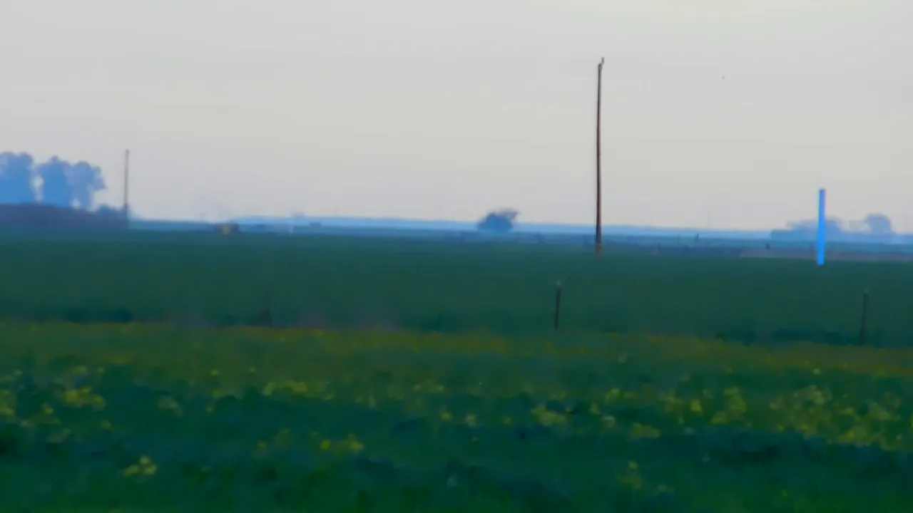 Bottoms blend in first because of angular size at the horizon