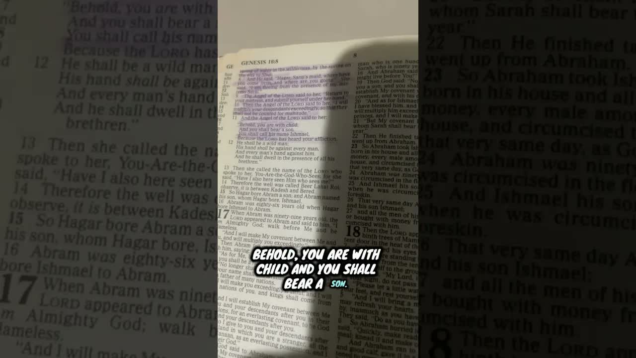 Jesus appears to Hagar Gen 16. #crealityjesussaves #trinity #uniterian